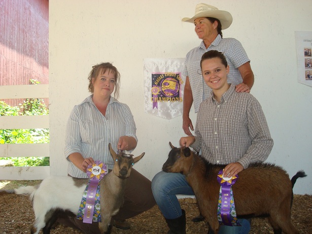 Chamion-Reserve Champion